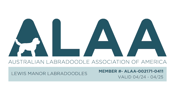 alaa-lml-24