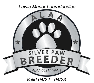 alaa-silver-paw